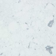 Bianco Rivers
